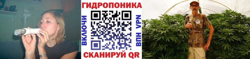 даркнет сайт блэк спрут зеркало Шишки марихуана OG Kush Заволжск
